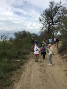 Our group search for White-collared Seedeaters along the Border at Salineño